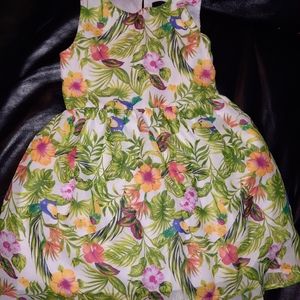 Nautica Chiffon Dress